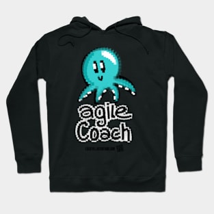 Agile Coach Pixel Art 1 Hoodie